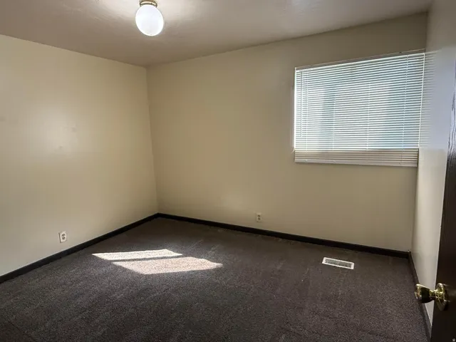 Wall-to-wall dark gray carpet, light beige wall paint, white window blinds, and an overhead globe light fixture
