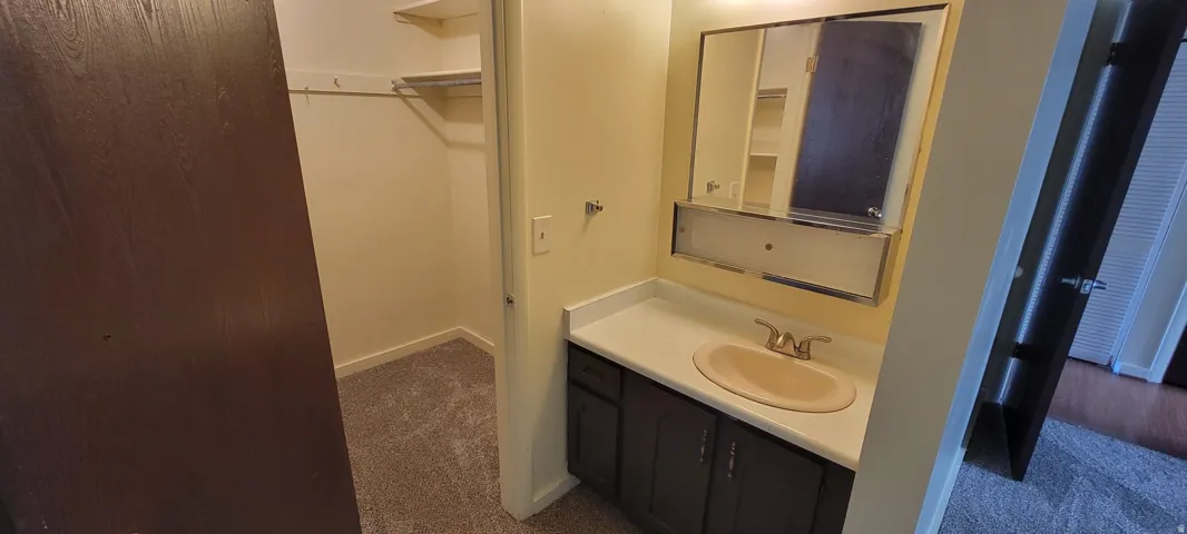 Vanity with an integrated sink and dark wood-finish cabinetry, complemented by a mirrored medicine cabinet