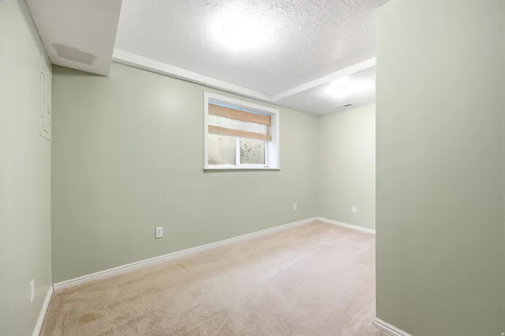 Carpeted room with light green walls, a single window, and flush-mount ceiling lighting