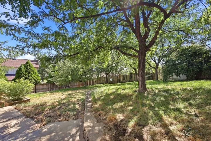 Expansive backyard featuring mature trees, partial fencing, and natural landscaping