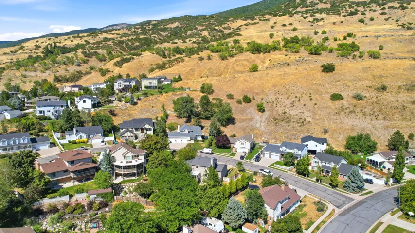 Hillside community featuring residential properties with varying architectural styles, mature landscaping, and paved streets