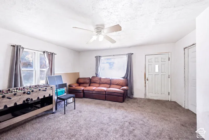 Spacious room featuring carpet flooring, multiple windows, a white paneled door, and a ceiling fan