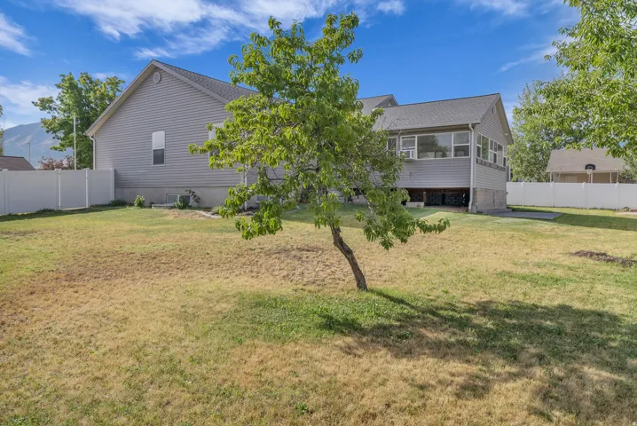 Spacious backyard featuring a mature tree, an enclosed sunroom with multiple windows, and a full-height vinyl privacy fence