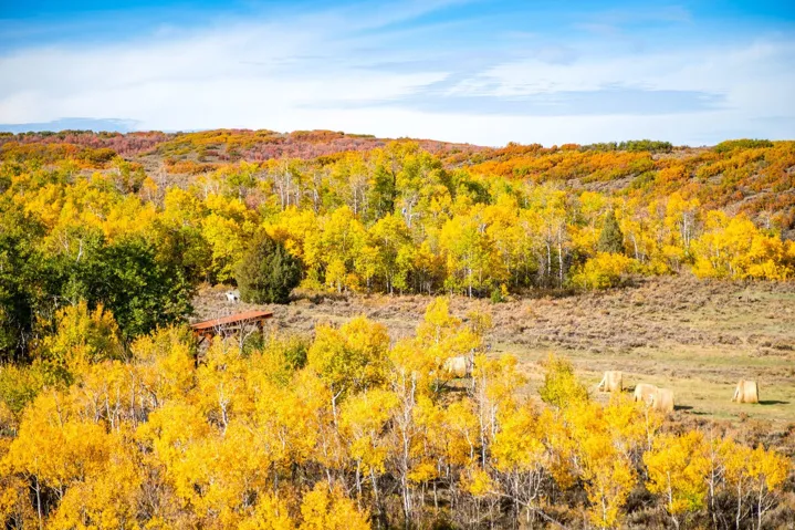 6770 E Cliff View Ct, Heber City, Utah 84032