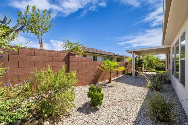 Xeriscape backyard featuring gravel ground cover and desert-adapted plants