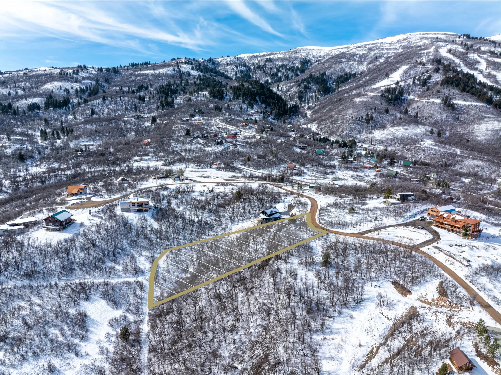 Mountainous terrain with snow-covered deciduous trees