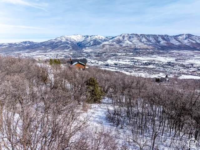 Expansive mountain scenery framing a distinct brown-sided residence with a dark roof