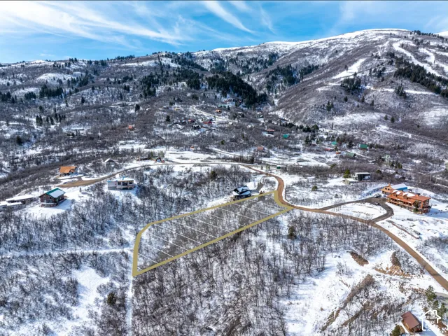 Mountainous terrain with snow-covered deciduous trees