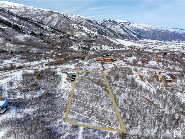 Expansive land parcel featuring delineated boundaries and a natural, treed landscape