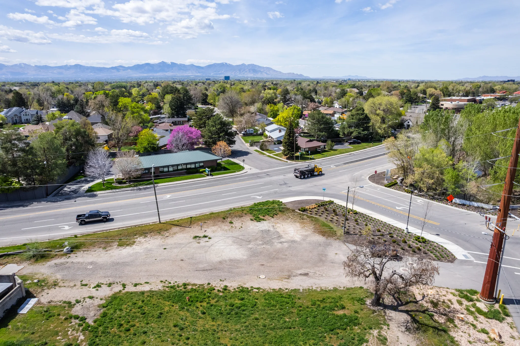 Expansive land parcel featuring open terrain and a tree