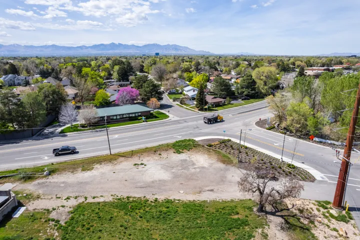 Expansive land parcel featuring open terrain and a tree