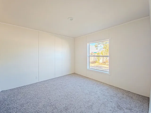 Plush carpet flooring, recessed ceiling lighting, and a white-framed window