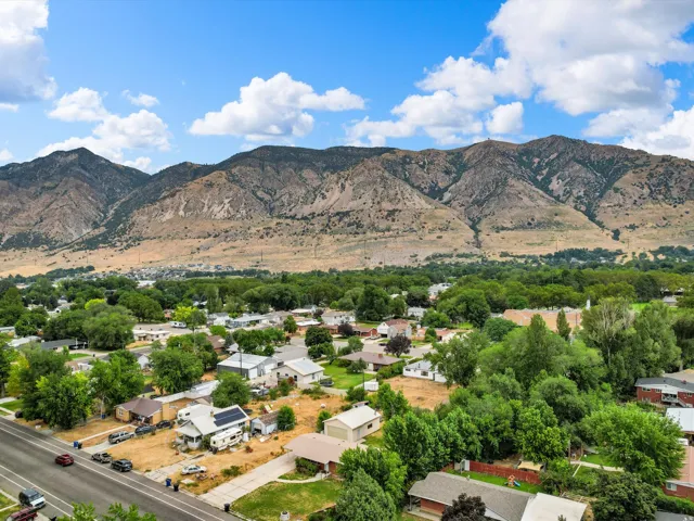 Expansive neighborhood with mature tree coverage and mountainous backdrop
