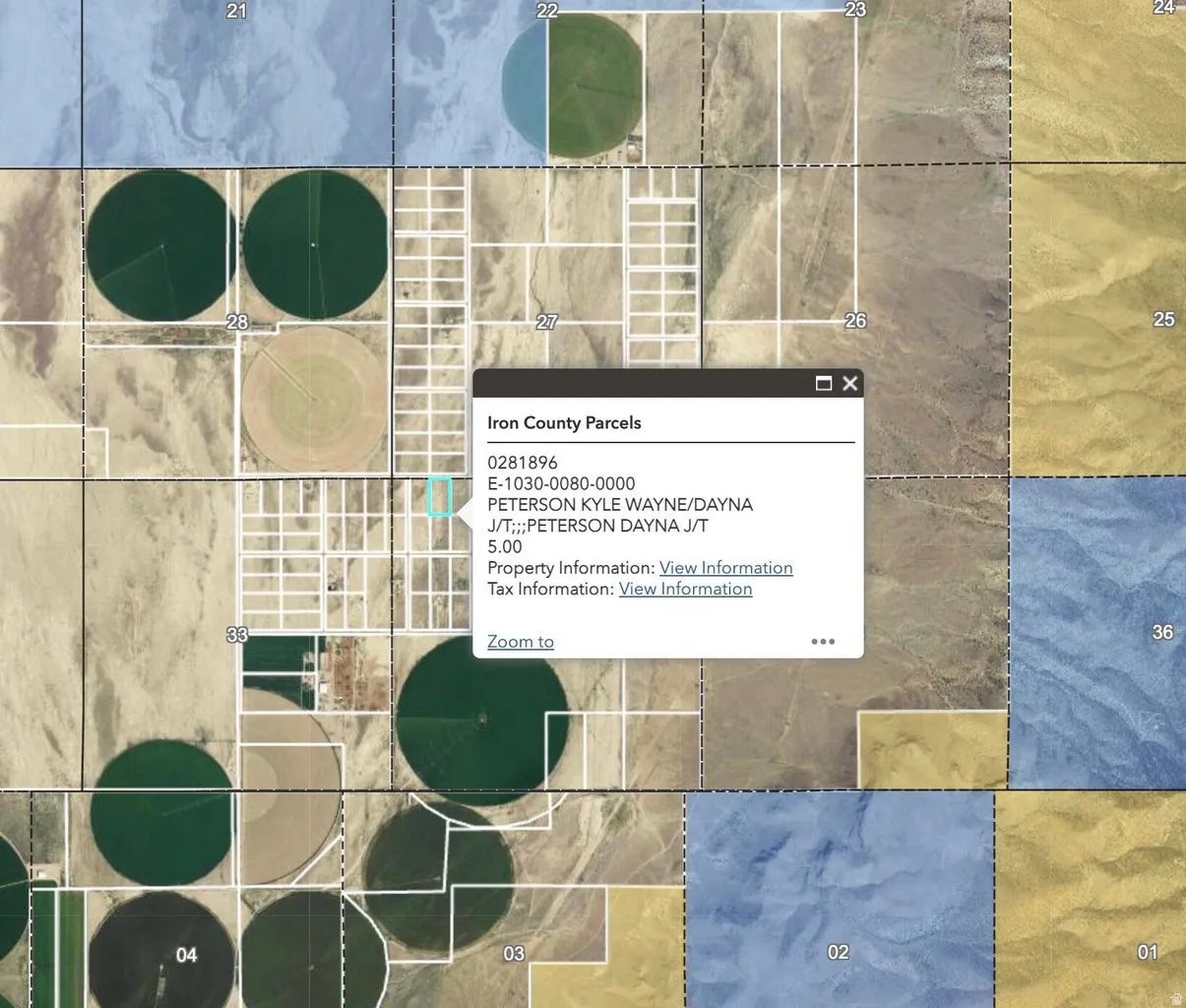 Iron County Parcels Information. Displaying parcel identification, owner details, and links to property and tax information for the property
