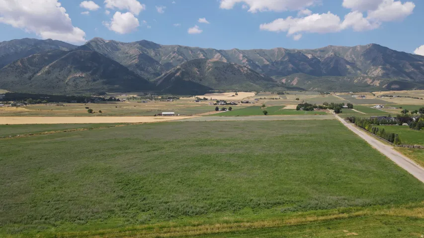 Expansive green field with a paved road running alongside, bordered by a distant mountain range and scattered rural structures