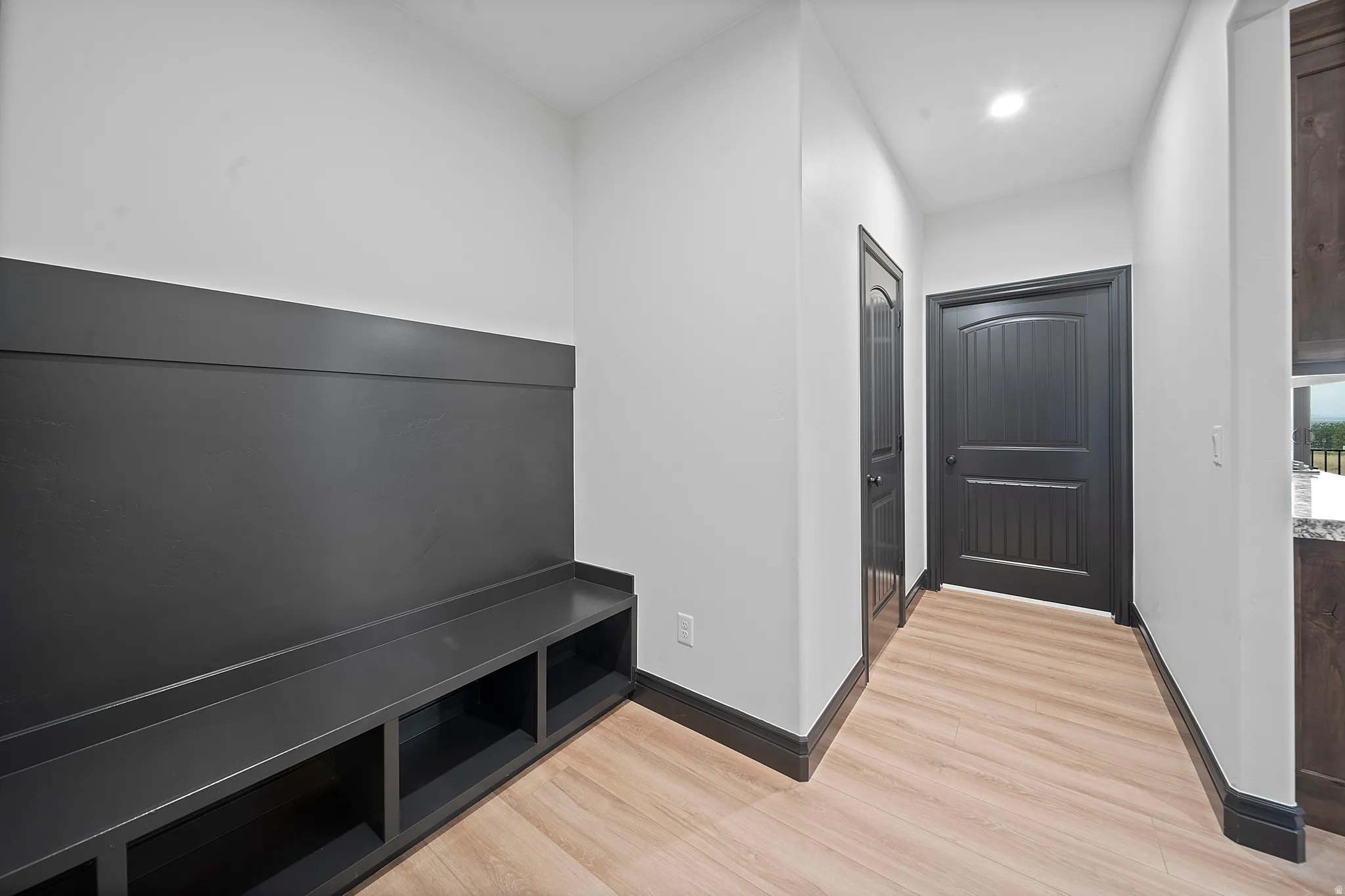 Entry area featuring a built-in bench with integrated storage cubbies, wood-finish flooring, two panel doors, and dark trim