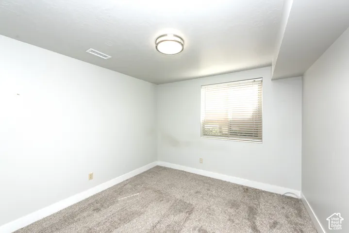 Plush carpeting, a single window with blinds, and a flush-mount ceiling light