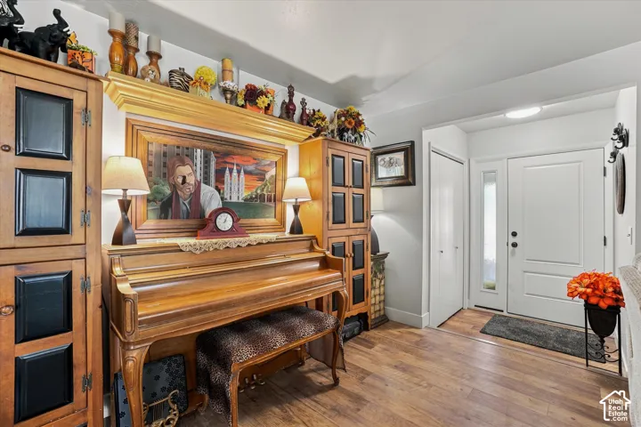 Warm wood-finish flooring, a solid white entry door with a frosted glass sidelight, and a built-in storage closet