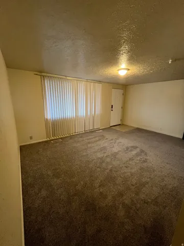 Spacious room featuring neutral carpeting, a large window with vertical blinds, and a flush-mount ceiling light fixture