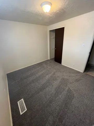 Room featuring neutral-toned walls, dark gray carpeting, and a ceiling-mounted light fixture