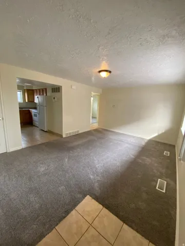 Living area featuring gray carpeting and a ceiling-mounted light fixture