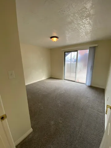 Spacious room featuring neutral carpeting, light-toned walls, and a ceiling-mounted light fixture