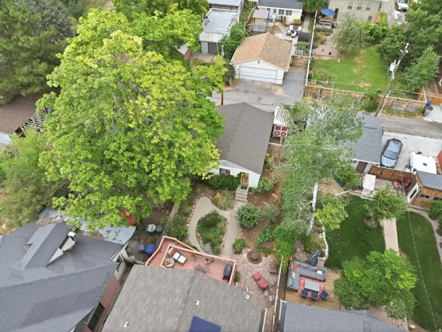 Expansive property featuring a mature shade tree, detached garage, and a spacious backyard with a manicured lawn