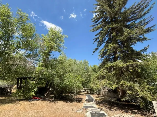 Mature evergreen trees and deciduous foliage frame a stone pathway
