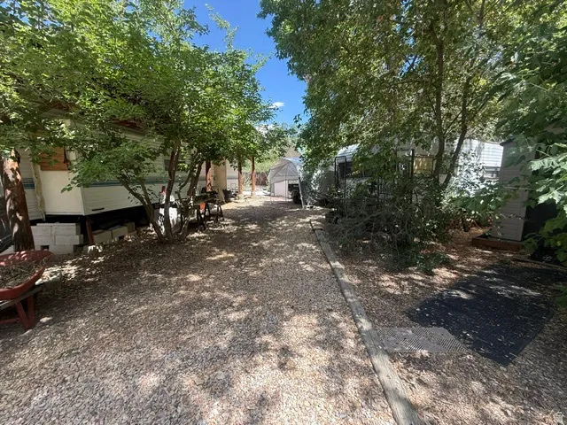 Gravel path lined with mature trees, providing natural shade