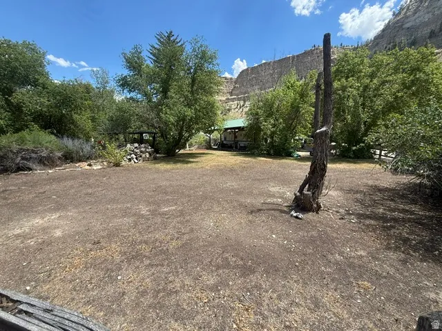 Expansive outdoor area featuring a cleared central space, mature trees and shrubs, a distant structure with a green roof, and a natural rock wall backdrop