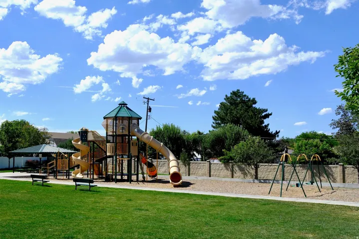 Community park featuring a multi-level playground structure with slides, a swing set, and a shaded picnic area