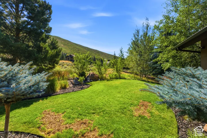 Expansive lawn area with a backdrop of mature trees and distant hills