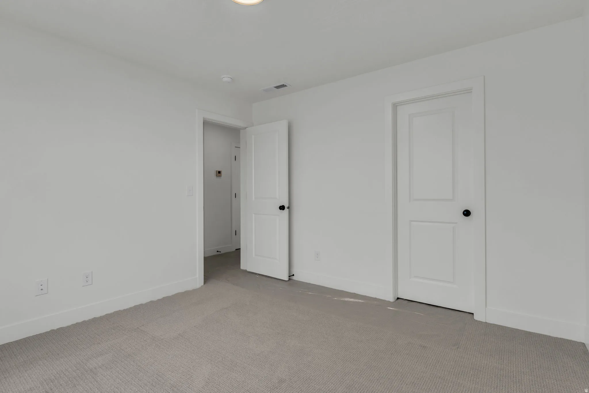 Large bedroom with walk-in closet.