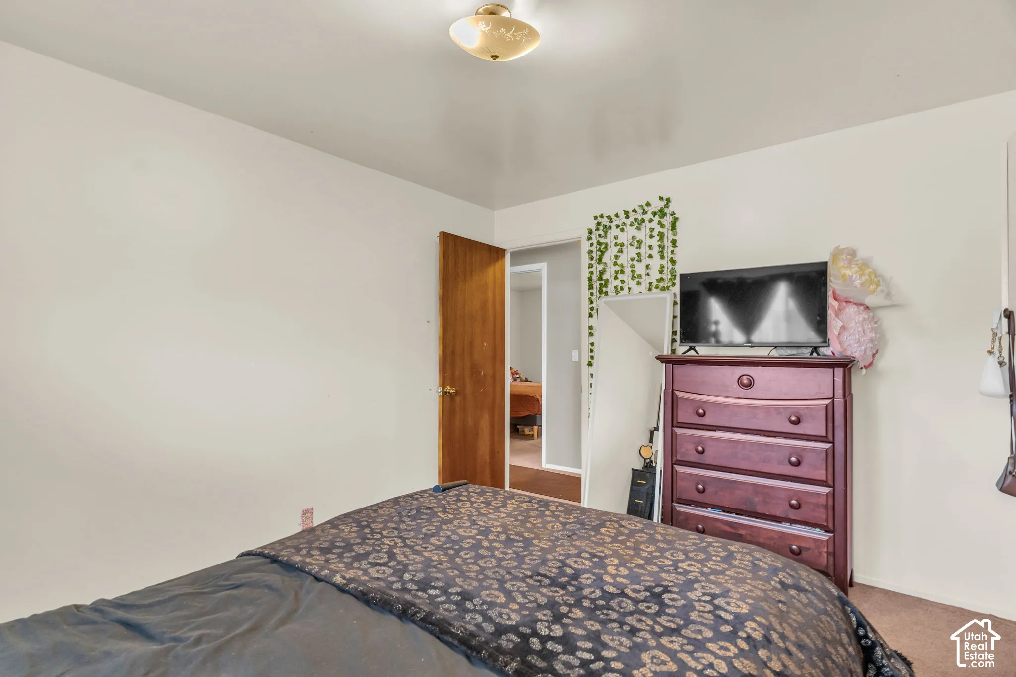 Neutral wall finish with a ceiling-mounted light fixture, wood-finish interior door, and carpeted flooring