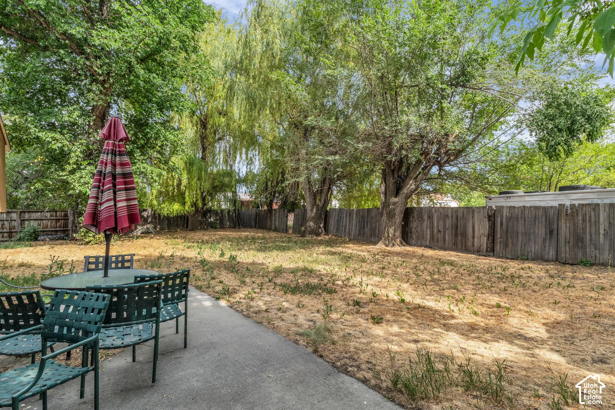 Expansive backyard featuring mature trees, a concrete patio, and a wood privacy fence