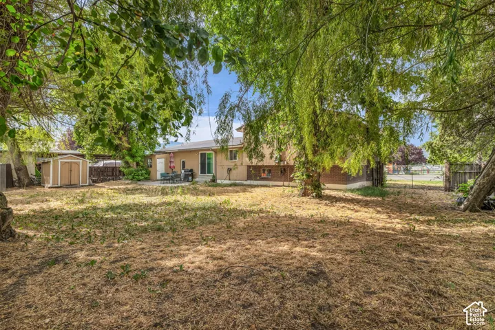 Expansive backyard featuring mature shade trees, a tan stucco exterior, a patio area, and a functional storage shed