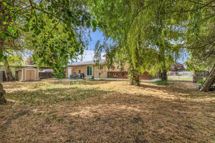 Expansive backyard featuring mature shade trees, a tan stucco exterior, a patio area, and a functional storage shed