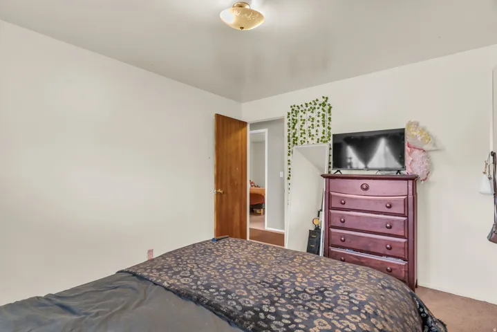 Neutral wall finish with a ceiling-mounted light fixture, wood-finish interior door, and carpeted flooring