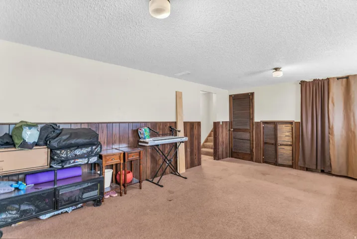Spacious room featuring wood paneling, carpeted flooring, and a ceiling-mounted light fixture