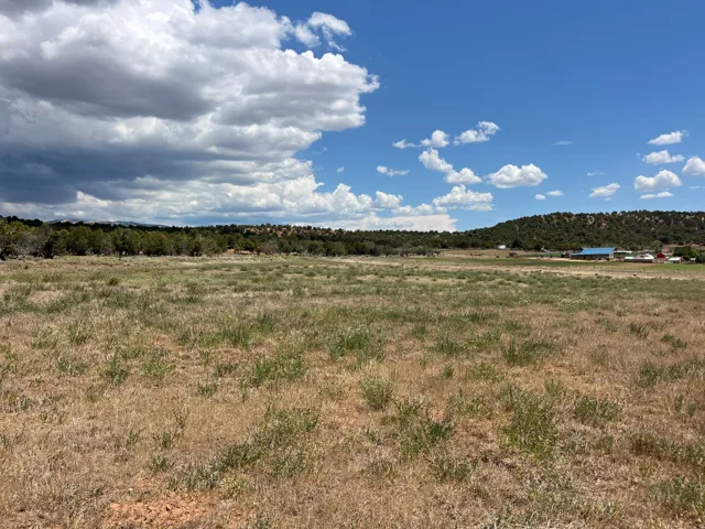 Expansive open field with natural ground cover