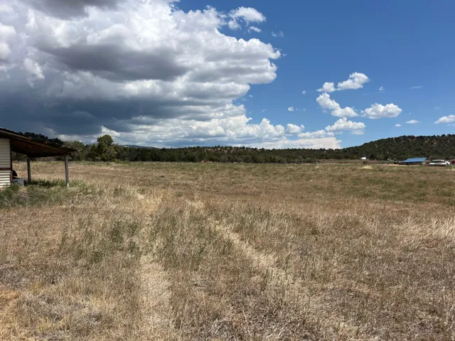 Expansive open field with natural ground cover