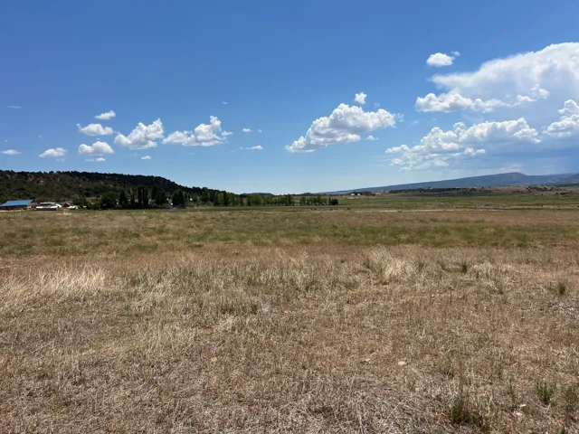 Expansive open field with distant structures and varied terrain