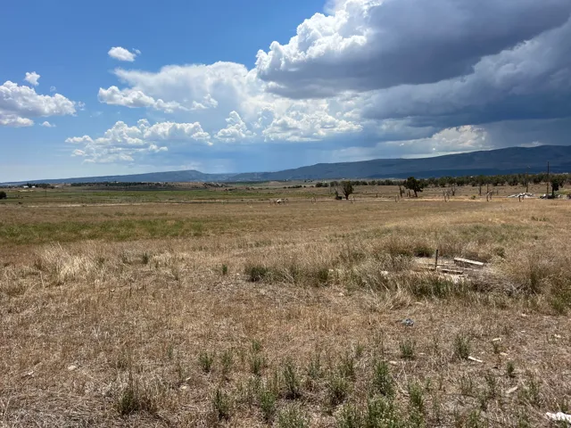 Expansive, undeveloped land featuring natural grasses, scattered trees, and distant mountain topography