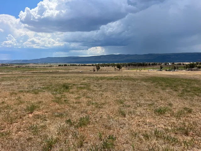 Expansive open landscape with natural ground cover, distant tree lines, and a mountainous backdrop