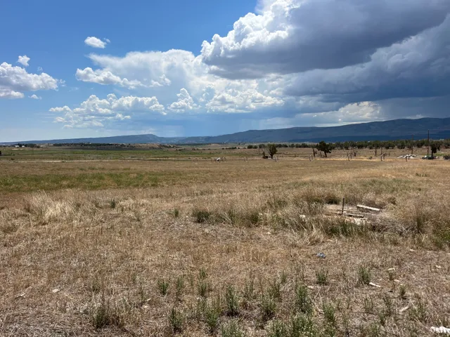 Expansive open field featuring natural grasses and distant mountain formations