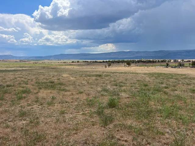 Expansive open land featuring natural grasses and distant mountains