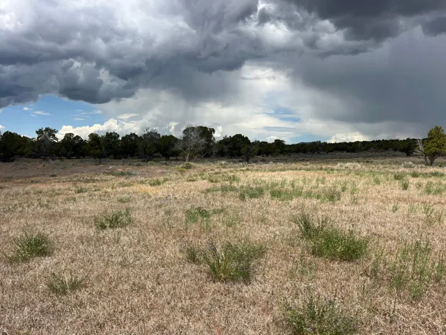 Expansive open land featuring natural grasses and scattered shrubbery
