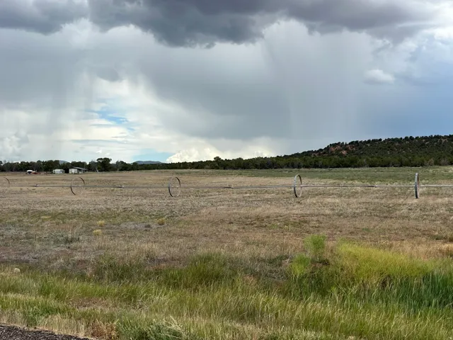 Expansive open field with distant structures, bordered by a treed hillside