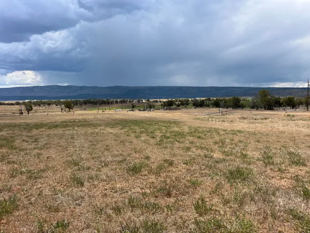 Expansive open land featuring natural grasses, scattered trees, and a distant mountain range