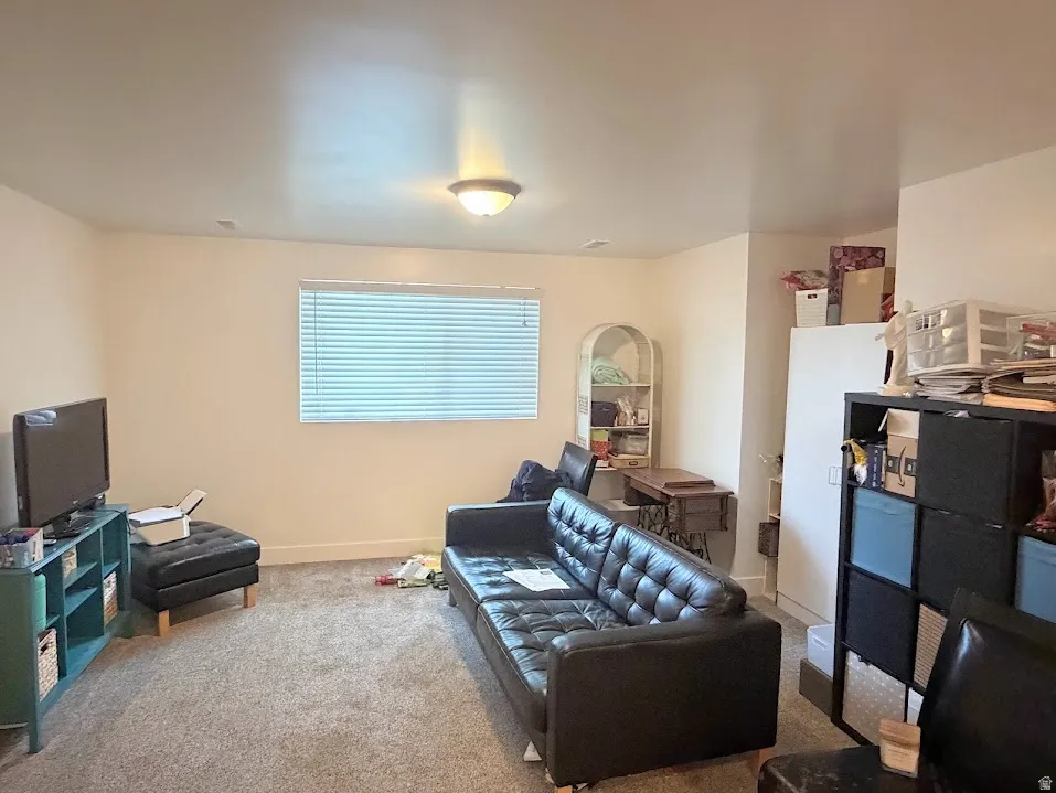Carpeted room featuring a single window with horizontal blinds, neutral wall paint, and a flush-mount ceiling light fixture
